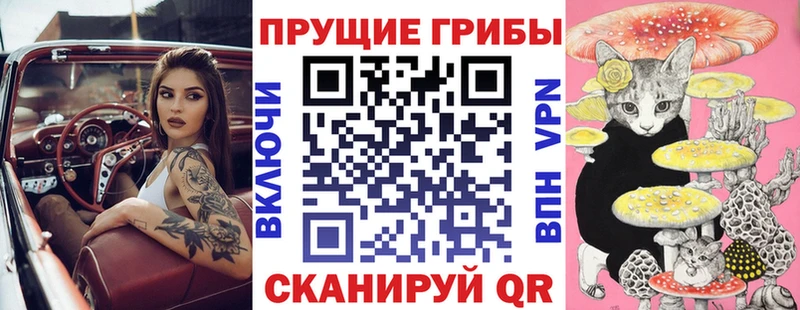 Галлюциногенные грибы прущие грибы  Купить  Касимов 